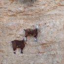 해녀밥상 이미지