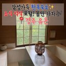 무료영화 상영(범죄도시4) | [경주 감성숙소] 몸만 가면 되는 일본 료칸 스타일 석식, 조식 포함 호캉스! 경주 유온
