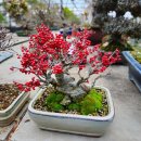 장백농장 이미지