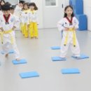 남도 태권도장 이미지