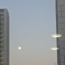 2025년 1월 일상 조각 모음 (3)