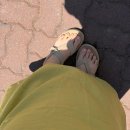 어그(UGG) 골든게이즈 토 포스트 - 샌드 240 후기 | 여름 샌들 추천