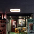 [신정네거리 술집] 신정동 맥주&amp;피자 | 엘리펀트카페앤펍 내돈내산 솔직후기 | 낮에는 커피, 밤에는 피맥