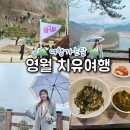 선암가든 | 봄 국내여행 추천 강원도 영월 가볼만한곳 여행가는달 여행으로컬 당일버스여행
