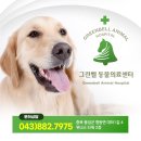 증평동물병원 이미지