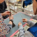 수 애견미용 이미지