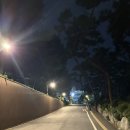 성안공 상진묘역 | 서초구 러닝트랙 러닝코스 추천 서울 상문고등학교 운동장