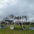 그늘막124 이미지