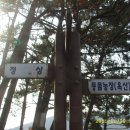 장진주유소 이미지