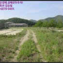 도리 회리 이미지