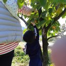 청수어린이집 이미지