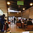 더 펫 애견샵 이미지