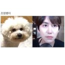 꿈은 의무가 되기도 한다