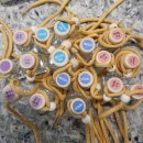 글로리아유치원 이미지