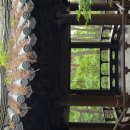 정자/금정산숲속둘레길(명륜역) 이미지