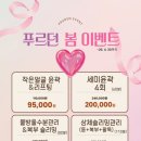 푸르던뷰티에스테틱 | 광주 피부관리 추천 | 푸르던뷰티 윤곽&리프팅 솔직후기(내돈내산)