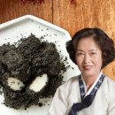 떡이랑시루랑 이미지