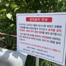 진북면 인곡천 경남신문
