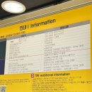 광명 | 폭염 피서지 추천! 광명동굴 후기｜입장료·주차·할인 꿀팁부터 관람코스까지