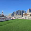 부산애견호텔 댕스스쿨 이미지