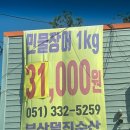 덕진수산영어조합법인