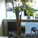 안양자동차검사소 이미지