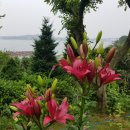 바위섬펜션 이미지