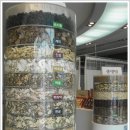 한방엑스포공원 이미지