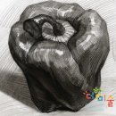 연필 한자루로 담아내는 세상, 소묘 | 도래울미술학원 영재소묘안내 / 연필한자루로 세상을 담아내는 초등저학년 영재소묘/원흥더함미술학원