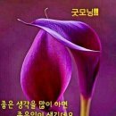 비엔비푸드시스템 이미지