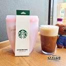튼튼푸드 | 스타벅스 실리콘 푸드백 세트 가격 구매 방법 스벅 파우치 핑크 실물 후기