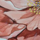 감성의 붓터치+ 수채화 이미지