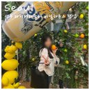 백완수농장 | 성수 타이거라들러 팝업 캐치 테이블 예약 방문 후기