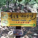 부평구 비타민길 이미지