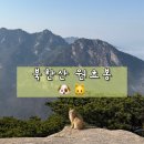서암주차장 | 북한산 원효봉 후기 | 주차, 코스, 난이도, 운해, 고양이, 강아지