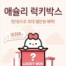애슐리퀸즈NC 이미지