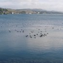 은빛파도 이미지