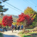 내동산 도는길 이미지