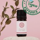 스토어와이(STORE.Y) 이미지