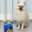 이너피스 | 노견 강아지 유산균, 바잇미 닥터이너피스 장튼튼 유산균 후기