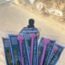 관기초등학교 | 책나무, 관기초 다녀오다 - 홍보 방문 후기