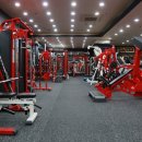 휘트니스 트리 이미지