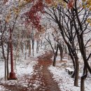 남선공원 이미지