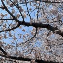 경화국수 이미지