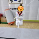 국가대표 키즈 태권도장 이미지