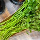 초록흑돼지농장 이미지