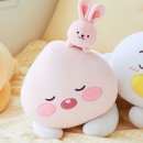 카카오프렌즈