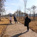 대가야생활촌 이미지