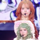 뮤직뱅크 스포츠경향