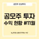11월 공모주 투자 후기, +13만원 수익! 만족스러운 한 달